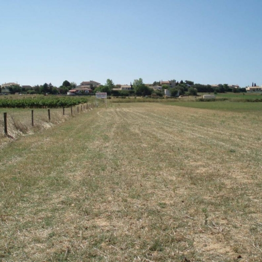 Annonces BESSAN : Terrain | PORTIRAGNES-PLAGE (34420) | m2 | 64 200 € 