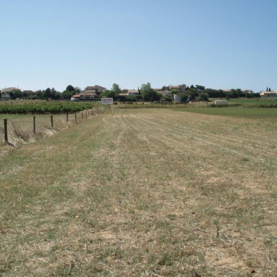  LM PATRIMOINE : Terrain | PORTIRAGNES-PLAGE (34420) | 0 m2 | 64 200 € 