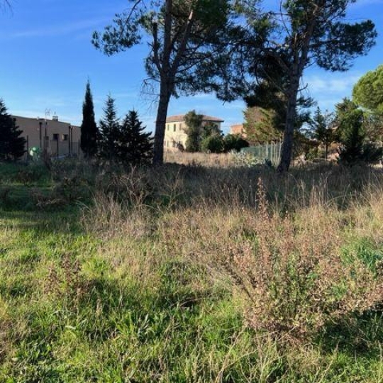  LM PATRIMOINE : Terrain | MARSEILLAN (34340) | 0 m2 | 399 000 € 