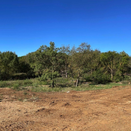  Annonces BESSAN : Terrain | BESSAN (34550) | 0 m2 | 298 000 € 