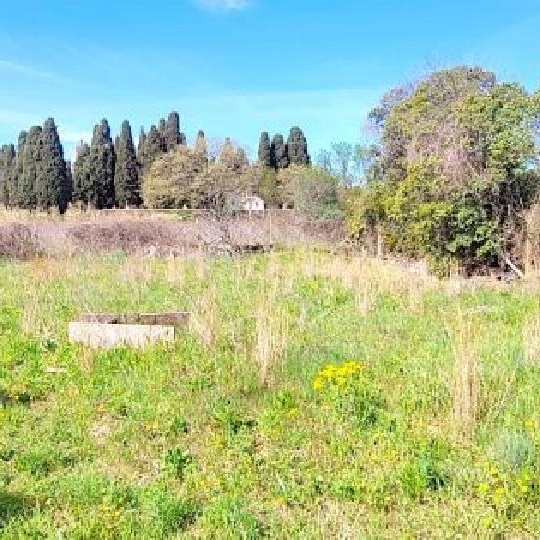  LM PATRIMOINE : Maison / Villa | PAULHAN (34230) | 91 m2 | 315 000 € 