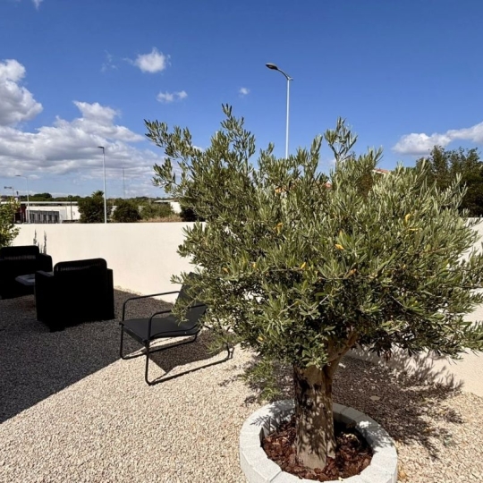  LM PATRIMOINE : House | MARSEILLAN (34340) | 72 m2 | 369 900 € 
