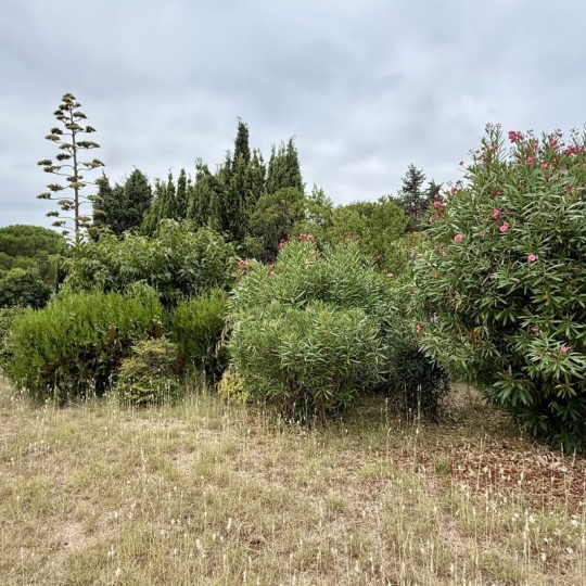 LM PATRIMOINE : Terrain | PEZENAS (34120) | 456.00m2 | 126 900 € 