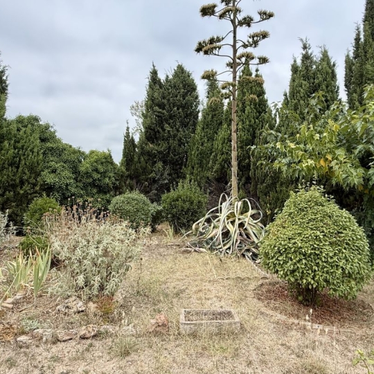  LM PATRIMOINE : Terrain | PEZENAS (34120) | 456 m2 | 126 900 € 