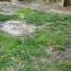  LM PATRIMOINE : Maison / Villa | MONTAGNAC (34530) | 72 m2 | 86 500 € 