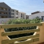  LM PATRIMOINE : Appartement | MARSEILLAN (34340) | 50 m2 | 168 000 € 