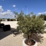  LM PATRIMOINE : House | MARSEILLAN (34340) | 72 m2 | 369 900 € 