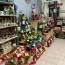  LM PATRIMOINE : Office | BESSAN (34550) | 49 m2 | 29 800 € 