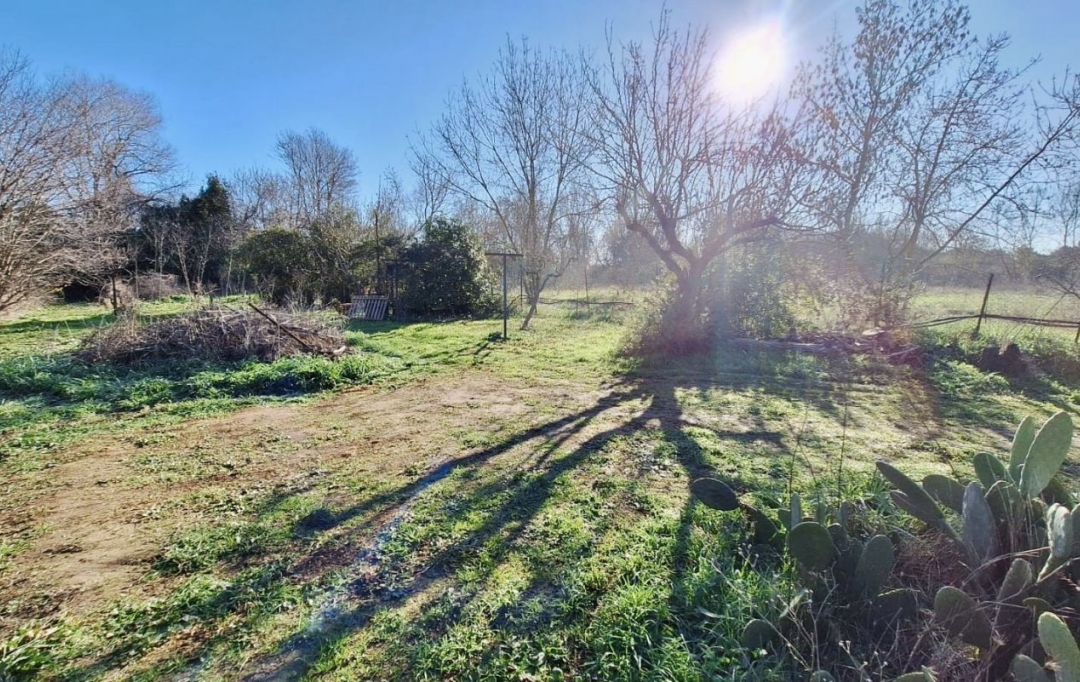 LM PATRIMOINE : Maison / Villa | BESSAN (34550) | 150 m2 | 499 000 € 