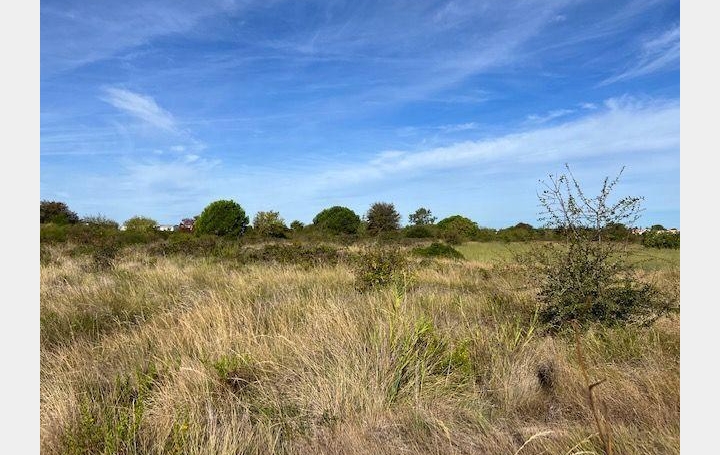  Annonces BESSAN Terrain | MARSEILLAN (34340) | 0 m2 | 22 000 € 