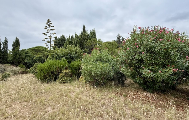  LM PATRIMOINE Terrain | PEZENAS (34120) | 456 m2 | 126 900 € 